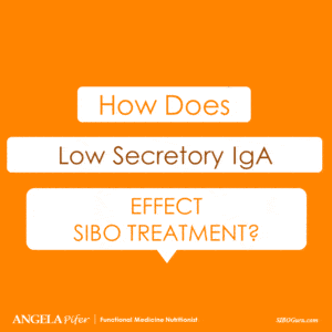 SIBO Guru - How Does Low Secretory IgA Effect SIBO Treatment